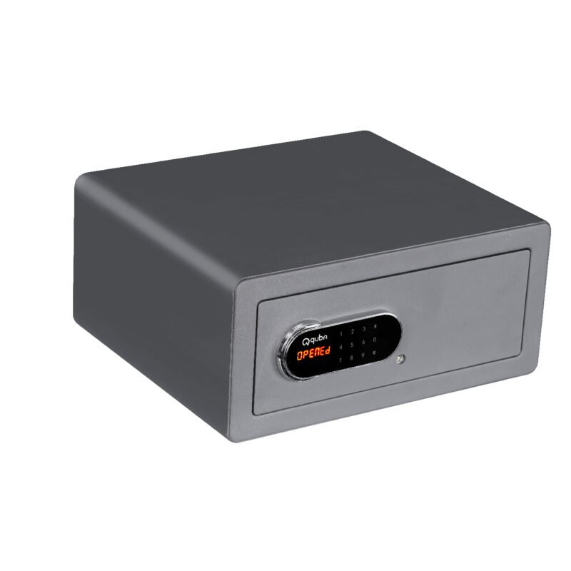 ABSOLUTE<br/> 2-Way Access Digital Safe