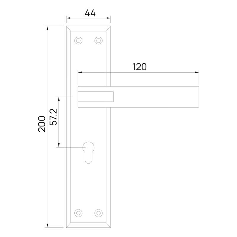Q 426 - main door handles - Image 2