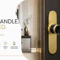 Round Handle for Main Doors with Quba India