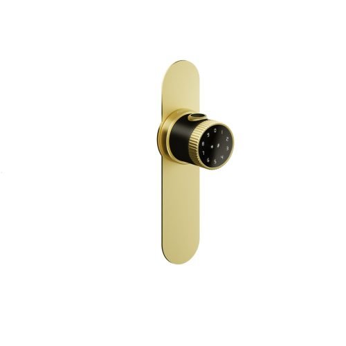Tabular Digital Locks-gold